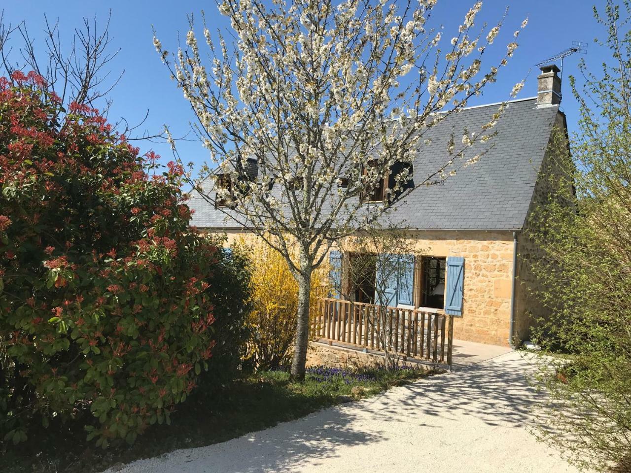 La Riviere Esperance Villa Veyrignac Dış mekan fotoğraf